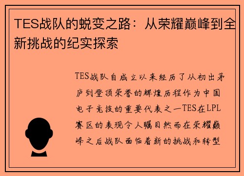 TES战队的蜕变之路：从荣耀巅峰到全新挑战的纪实探索